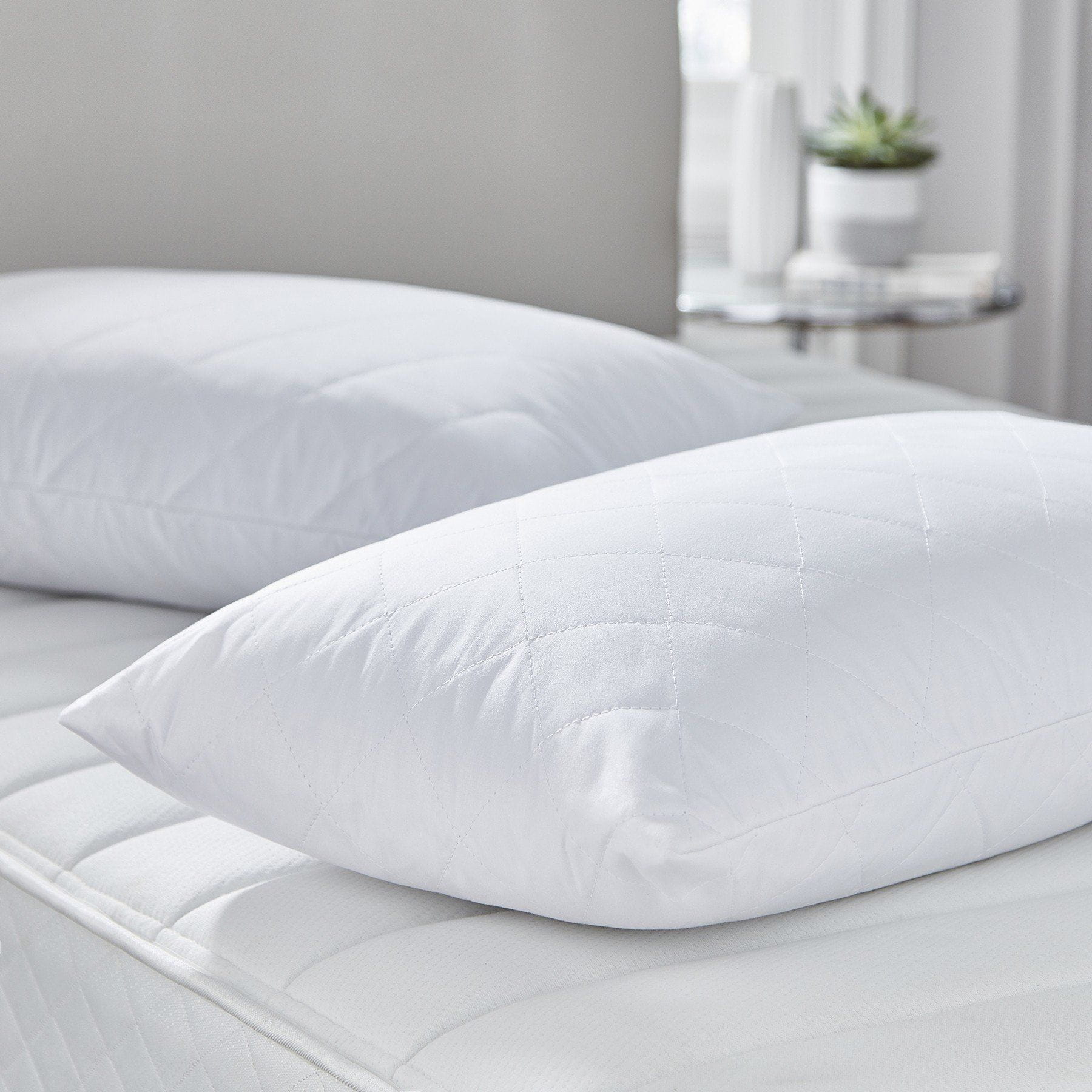 Pillow Protector - Pillow