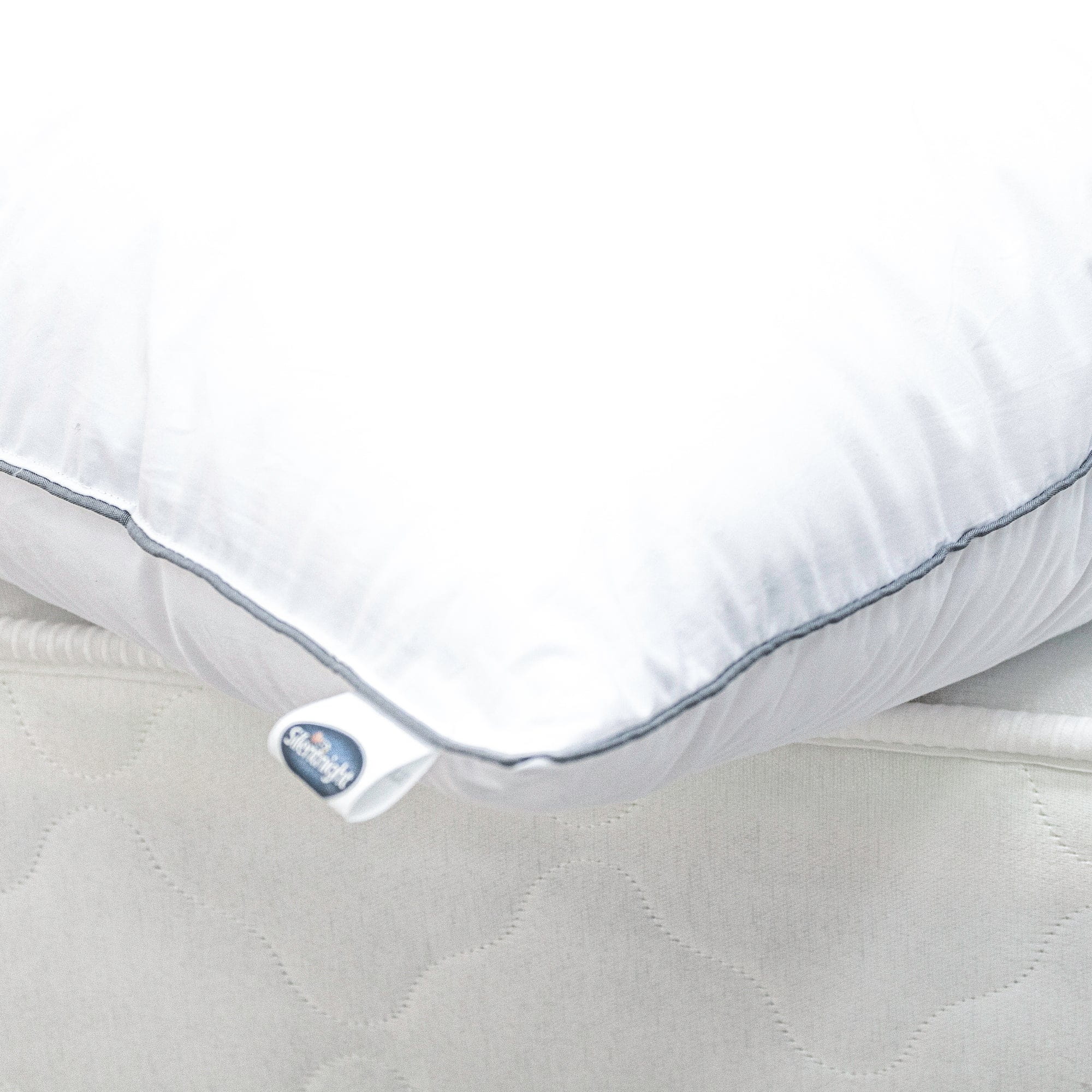 Luxury Micro Fibre Pillow w/ Silver Piping - Down Proof
