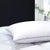 Luxury Micro Fibre Pillow w/ Silver Piping
