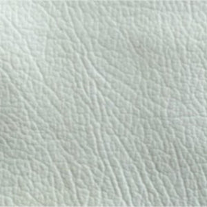 Bean Bag - Medium - Bean Bag