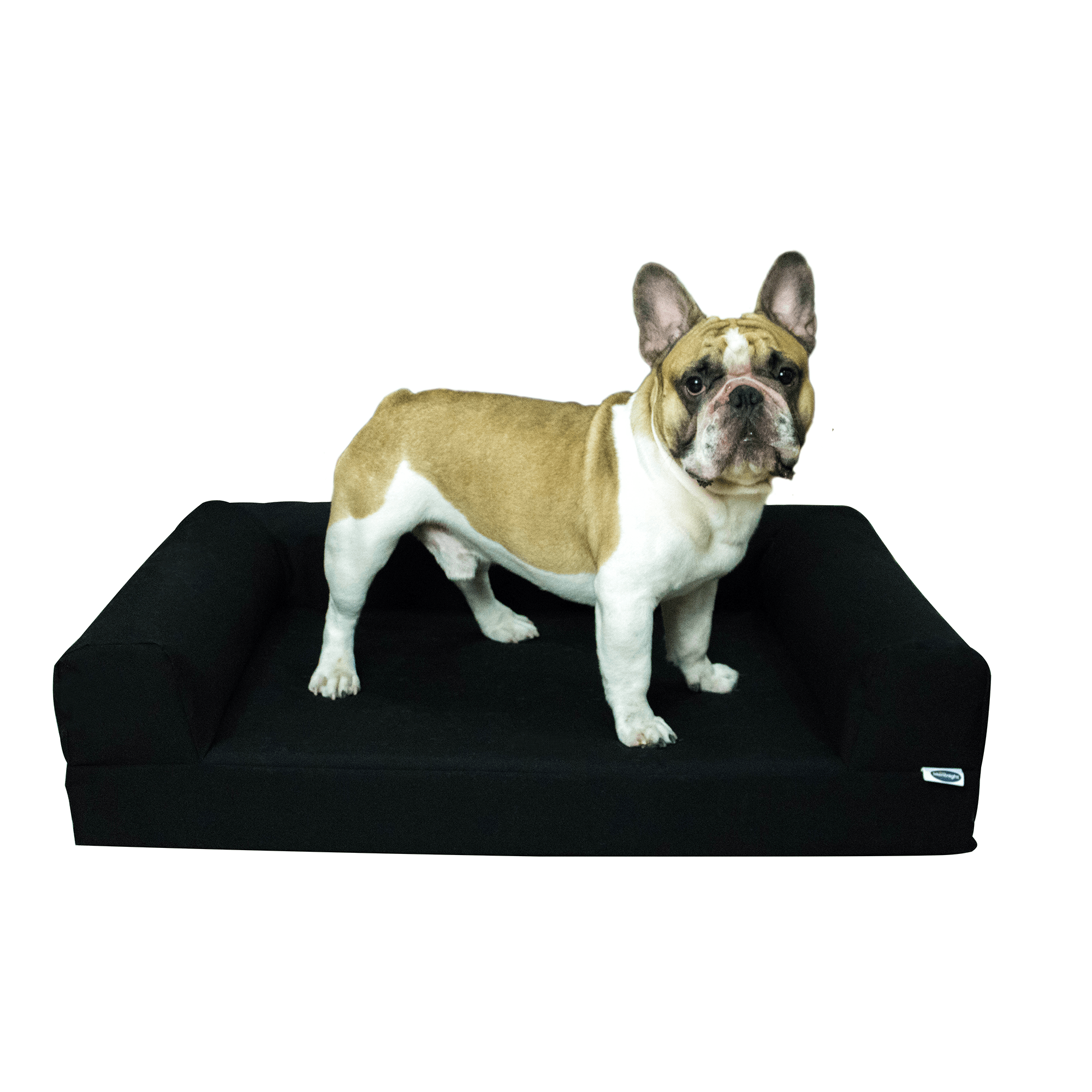 Pet Beds - 